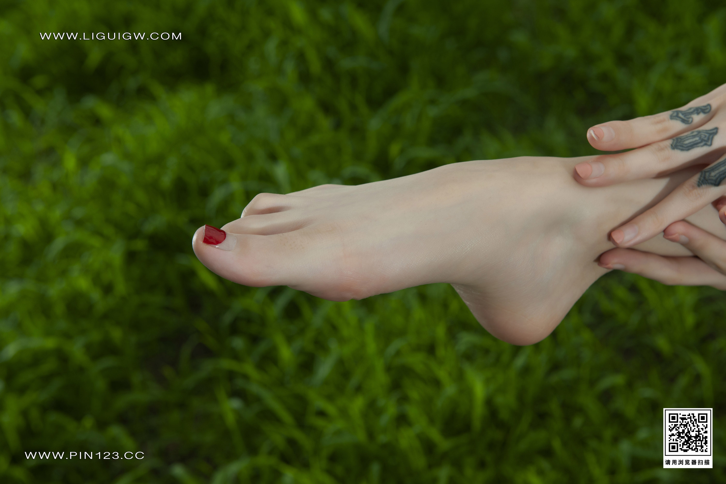 Ligui丽柜 2023.10.16 《芳草莲香》兔子